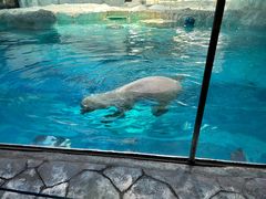 -珠海长隆海洋王国