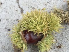 -雾灵西峰