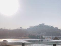 -河北省园博园