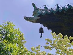 -报恩寺(平武县)