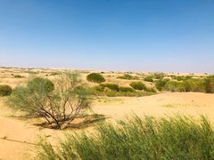 -银肯塔拉沙漠生态旅游景区