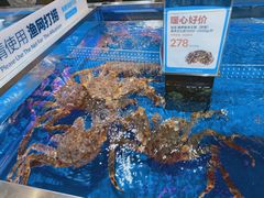 -盒马X会员店(王府井奥莱UP TOWN店)