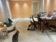 -首开·常青藤二期