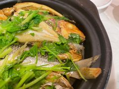 -迈姨·潮州菜(麓湖公园店)