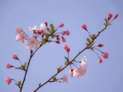 -上海辰山植物园
