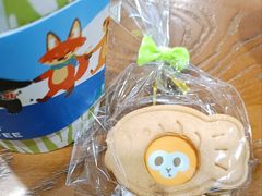 -ZOO COFFEE动物园咖啡(红山森林动物园店)