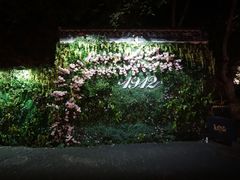 -猫头婴小酒馆FUN OWL(1912店)