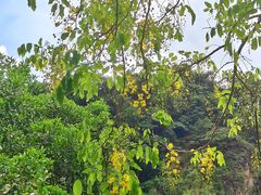 -火炉山森林公园