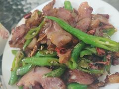 尖椒爆卤肉-胖娃滋补蹄花