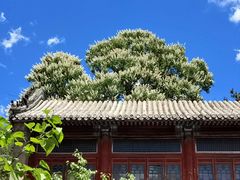 -潭柘寺景区