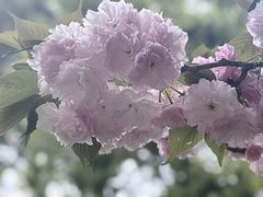 -武昌江滩