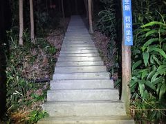 -缙云山景区
