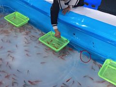 -苏州海洋馆