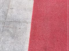 -红鼎豆捞·非遗鲍皇汤火锅(宝丰路店)