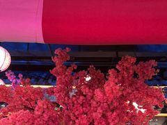 -探花·意境江南菜·唐伯虎文化体验店·松鼠桂鱼(观前店)