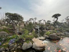 -罗红摄影艺术馆