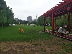 -长白岛森林公园