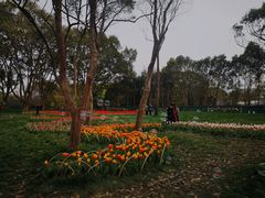 -无锡梅园公园