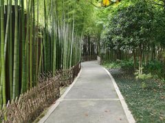 -陈家山荷花公园