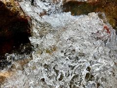 -南海湾森林生态园