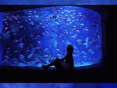 -成都浩海立方海洋公园