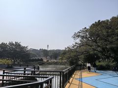 -东莞植物园