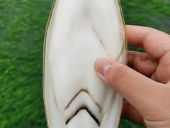 -日照海滨国家森林公园