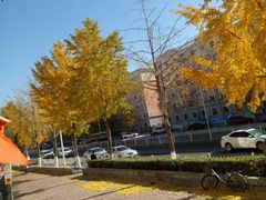 -东方照相馆(翠屏北里店)