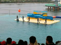 -秦皇岛乐岛海洋王国