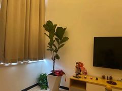 -八号公馆·老上海SPA(深圳北站店)