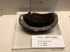 -天津自然博物馆