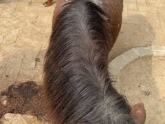 -武汉紫薇都市田园