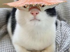 -干杯小木屋米酒店(罗斯福店)