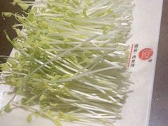 -巴倒烫陆派重庆火锅(南山店)