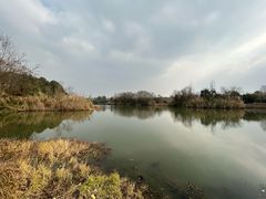 -白鹭湾湿地公园