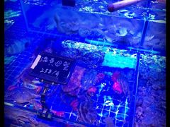 -渔民船说·北塘海鲜·天津菜·海肠捞饭(北塘古镇店)