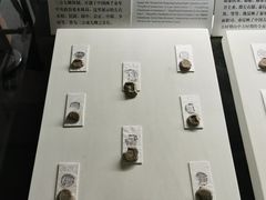 -古陶文明博物馆