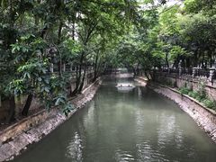 -老太皮肚面