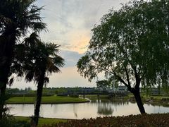 -上海鲜花港
