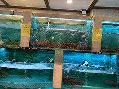 水产区-石湖大酒店(桐泾店)