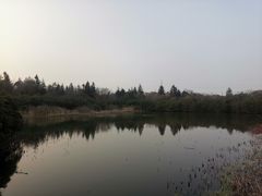 -上海海湾国家森林公园