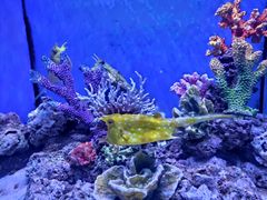 -多彩贵州城极地海洋世界