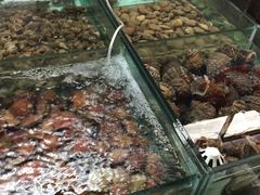 -南戴河海滨市场