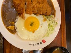 口蘑猪排咖喱-金龙咖喱