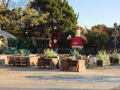 -中山路壹号传奇club·啤酒花园餐厅