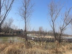 -盐城丹顶鹤湿地生态旅游区