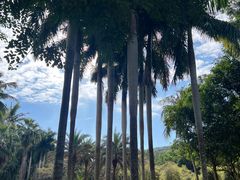 -三亚海棠湾万丽度假酒店