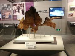 -北京周口店北京人遗址博物馆
