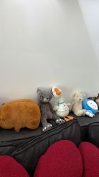 -春田皮肤管理中心品牌旗舰店