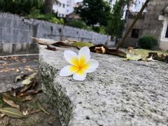 -梅溪牌坊